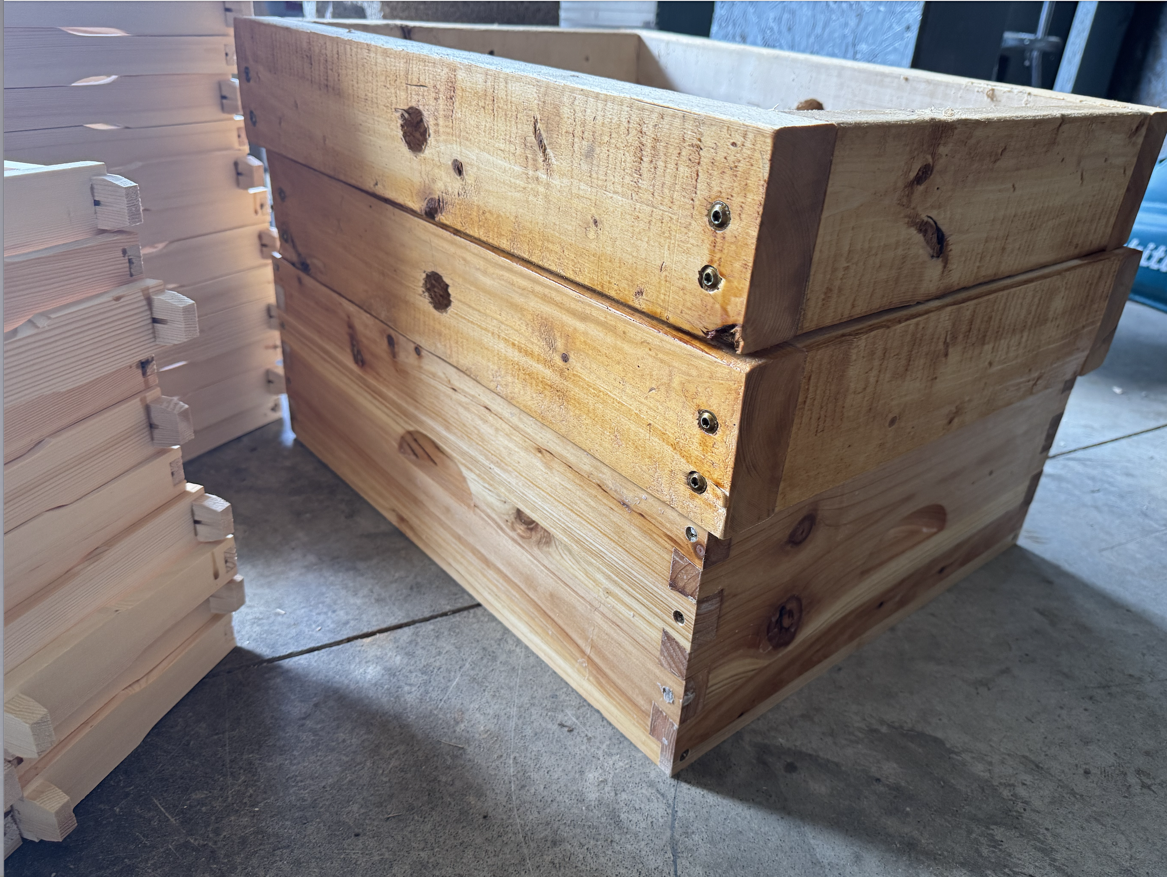 Apiary Photo 4
