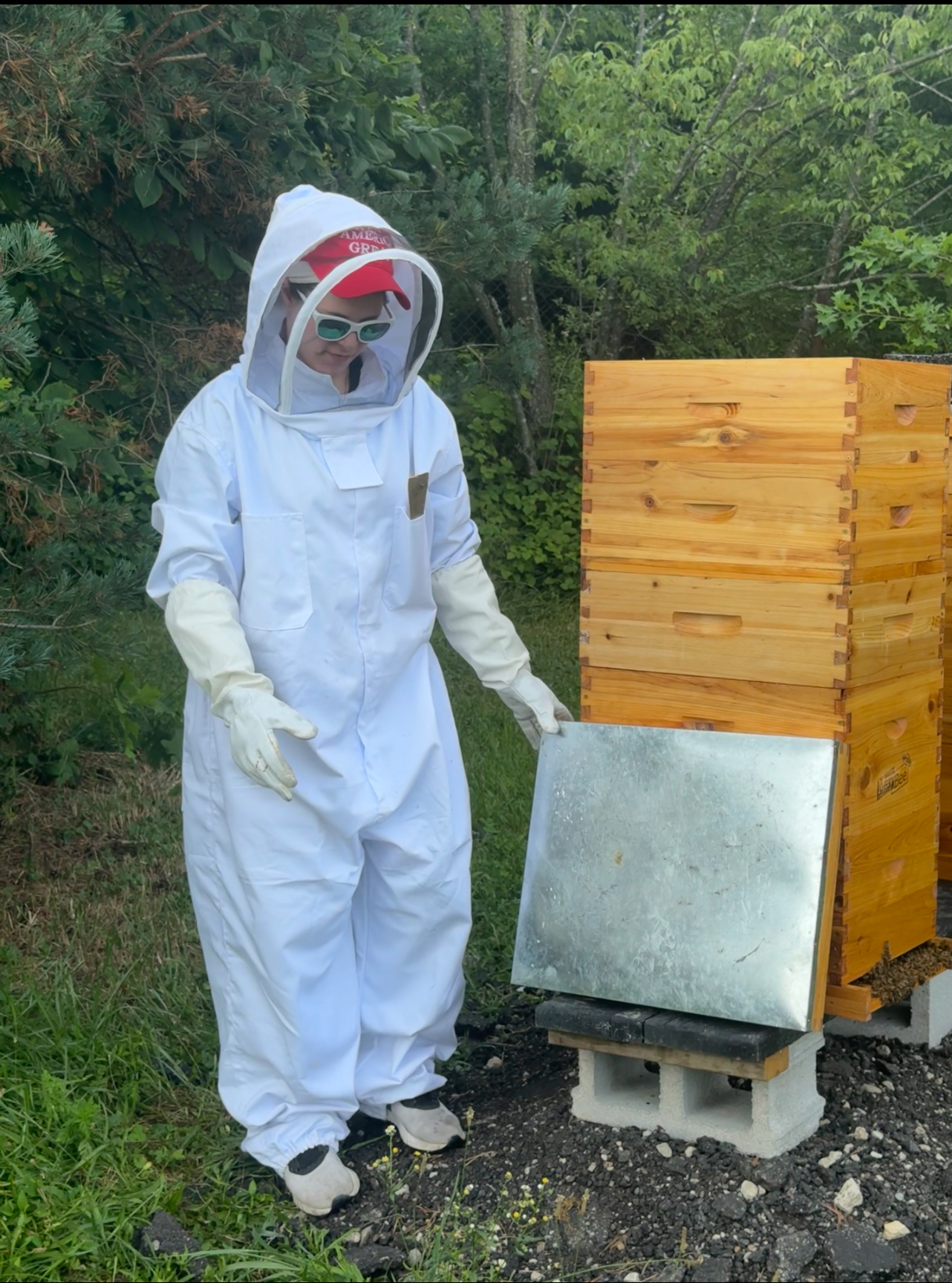Apiary Photo 2